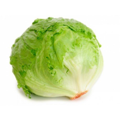 Iceberg salata/db Iceberg salata/db