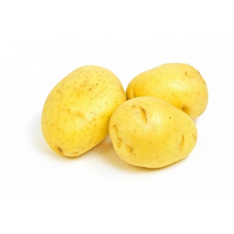 Fehér krumpli/ kg