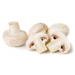 Champignon gomba / kg