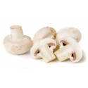 Champignon gomba / kg