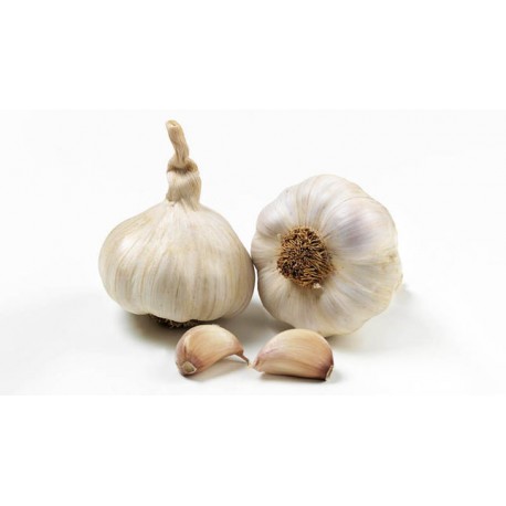 Fokhagyma/kg Fokhagyma/kg