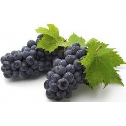 Fekete szőlő/kg